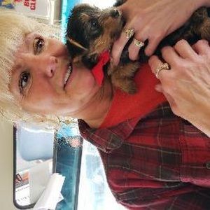 Meet your Posher, Judy